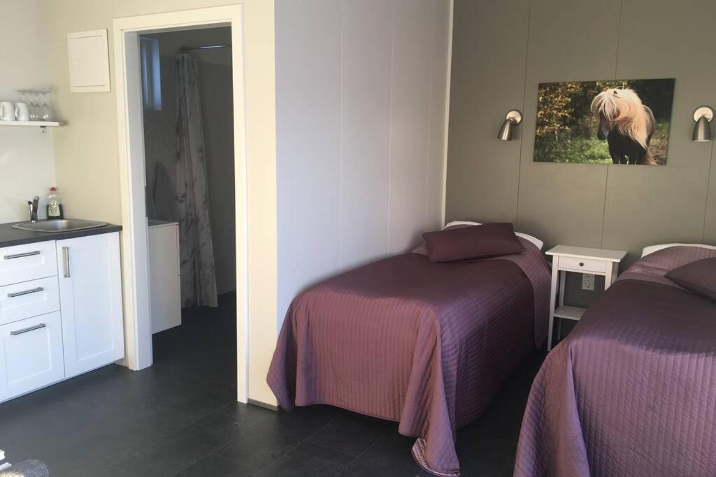 Stryta Apartment 3 Olfus Экстерьер фото